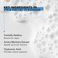 Cica Facial Cleanser key ingredients foam infographic
