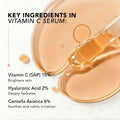 Vitamin C serum key ingredients infographic with orange dropper