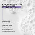 Niacinamide Cleansing Gel key ingredients foam infographic