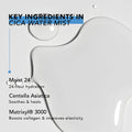 Cica Water Mist key ingredients water texture infographic